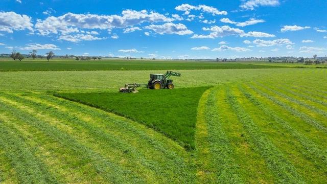 238 Old Winton Road, NSW 2340