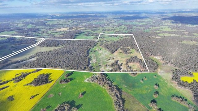 1705 Gibbs Road, WA 6244