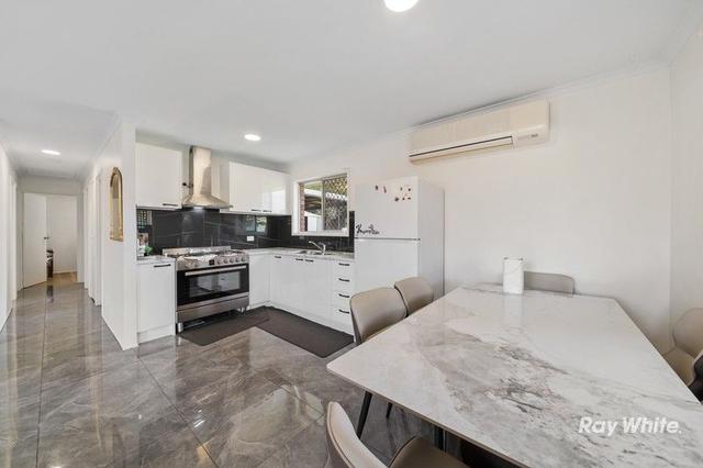 3 Anchusa Street, QLD 4114