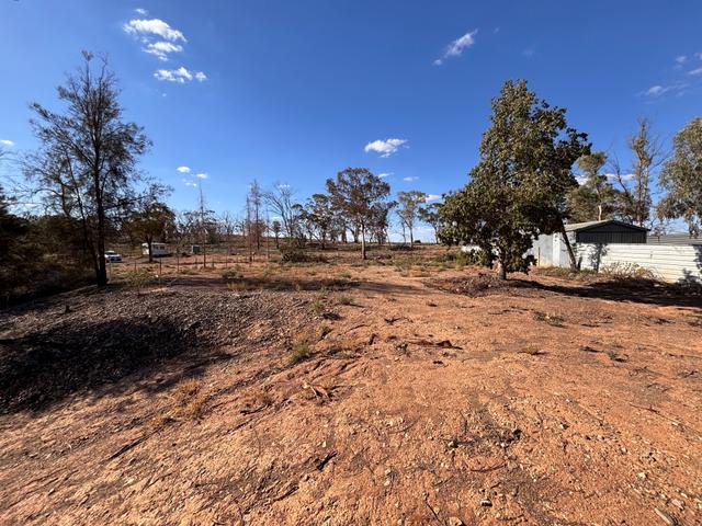 16 Belah Street, SA 5731