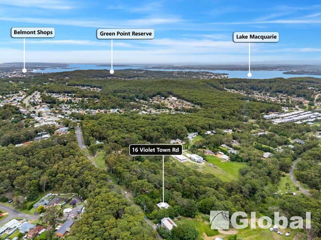 16 Violet Town Road, NSW 2290