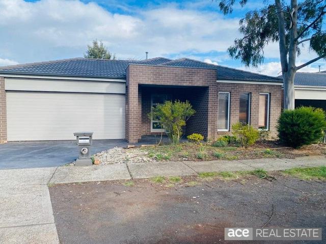 18 Tallgrass Avenue, VIC 3029