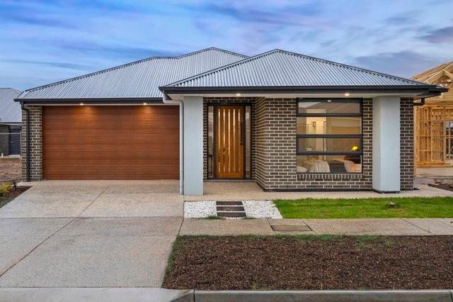 15 Cyperus Street, SA 5120