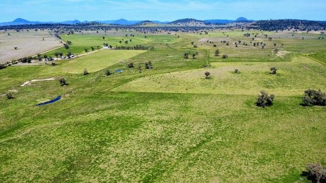 (no street name provided), NSW 2380