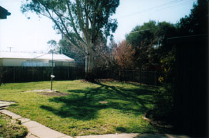 Backyard