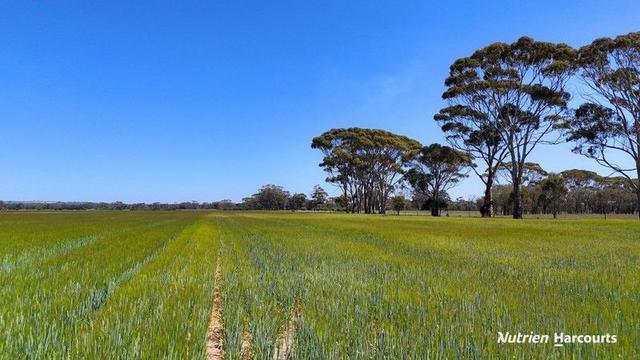 Lots 501 & 34 Great Southern Highway, WA 6304