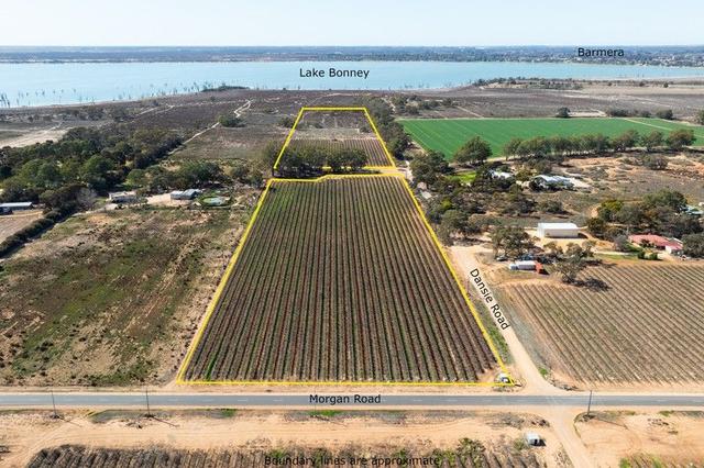 Lot 12 Dansie Road, SA 5345
