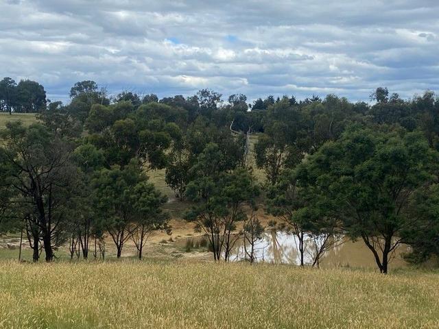65 Braemore Place, VIC 3753