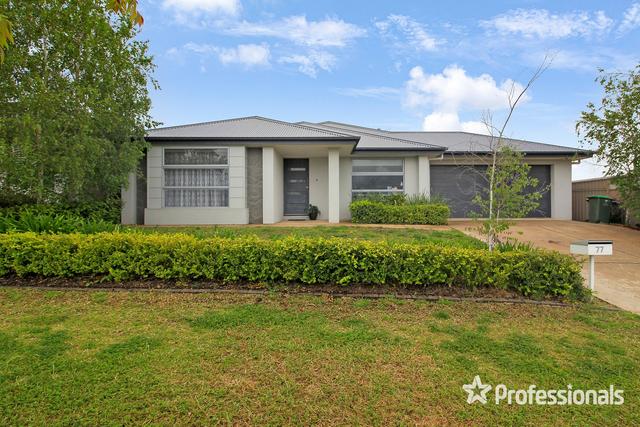 77 Strickland Drive, NSW 2650