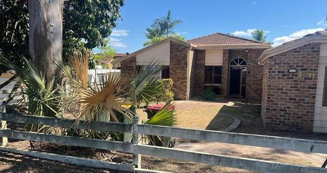 428 Winstanley Street, QLD 4152
