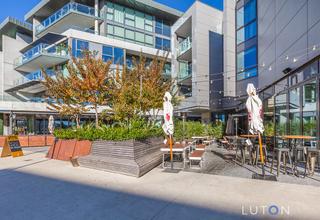 Kingston Foreshore (2019-11-19)