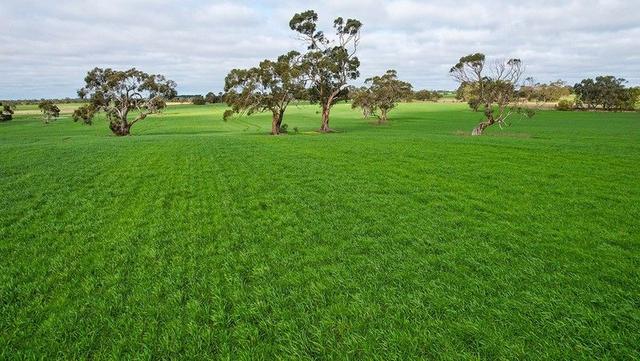 Hensley Park Road, VIC 3300