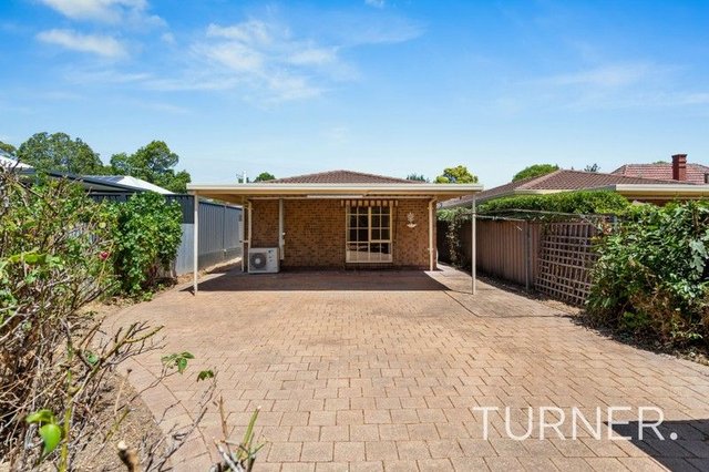 31 Jellicoe Street, SA 5065