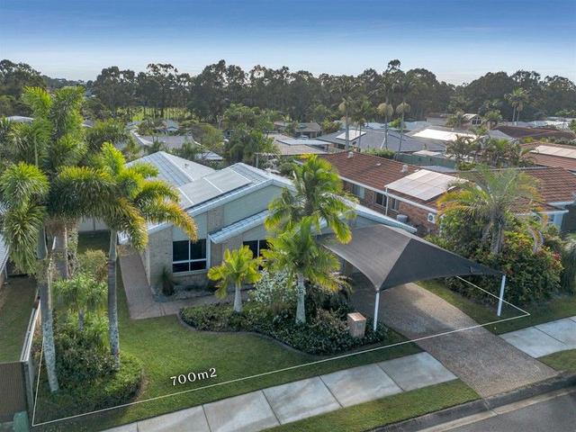 49 Abalone Crescent, QLD 4164
