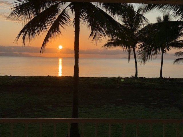 14 Allamanda Avenue, QLD 4850