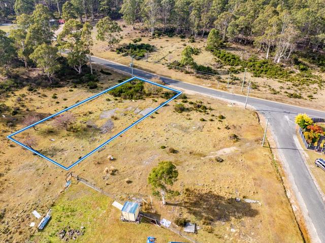 19 Lee Street, TAS 7213