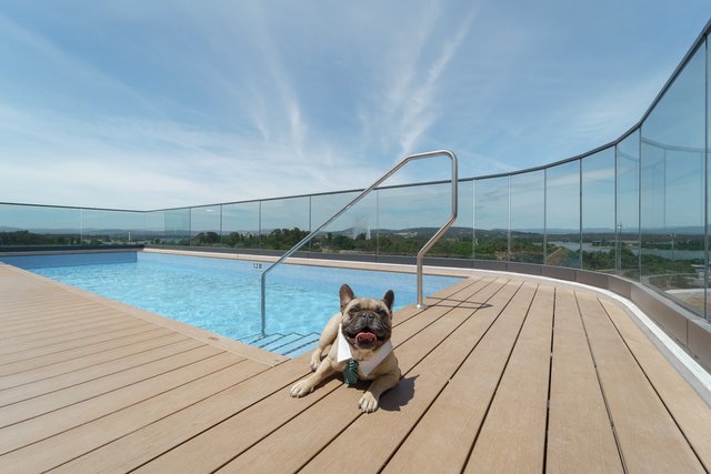 g04/68 Allara Street, ACT 2601