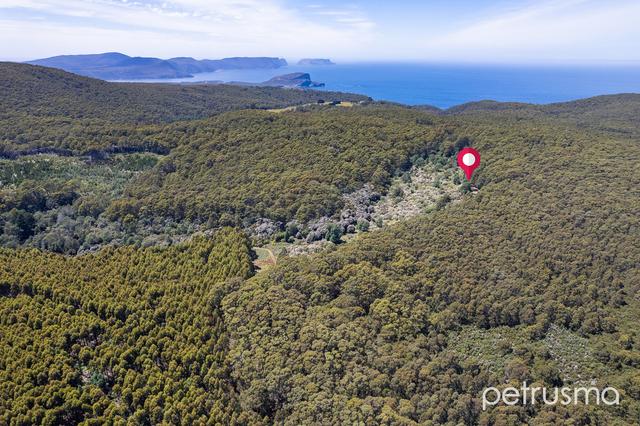 226 Thorntons Road, TAS 7184