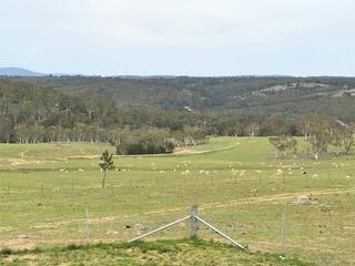 Beautiful Stock Paddocks (2018-11-02)