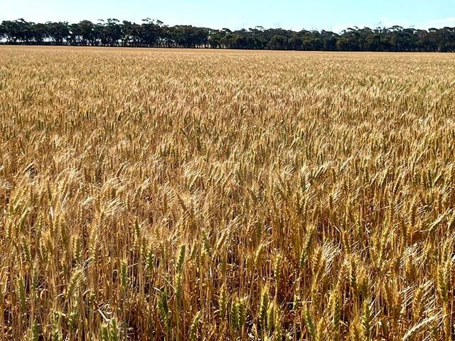 860 Gerschwitz Road, SA 5660