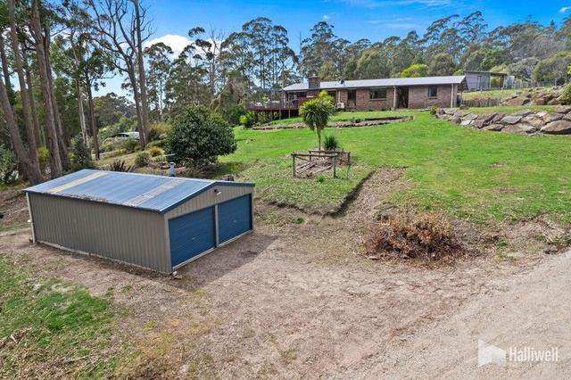 243 Kelcey Tier  Road, TAS 7310