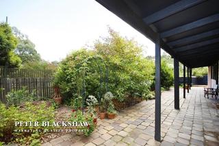Rear garden (2011-04-07)