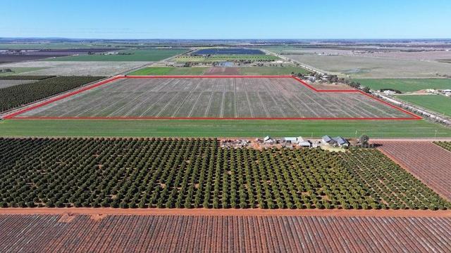 Lot 1/DP 1309984 Ross Road, NSW 2680