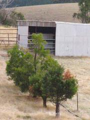 Horse Shelter