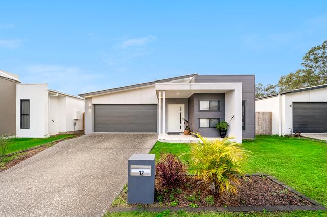12 Freney Street, QLD 4124