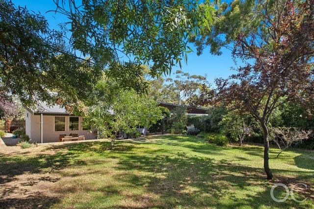 17 Bowman Avenue, SA 5052