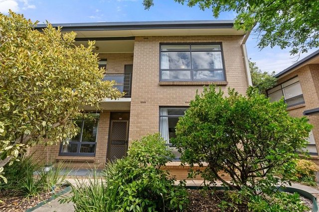 2/5 Alfred Street, SA 5067