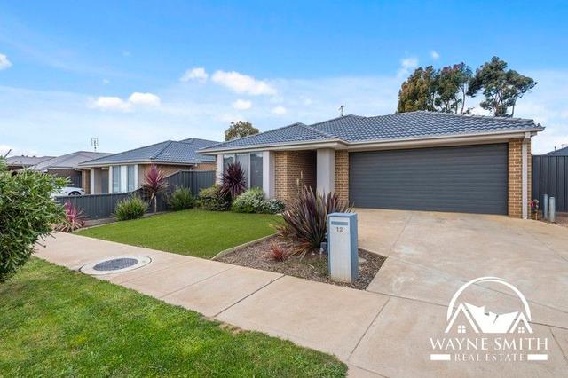 12 Hanlon Street, VIC 3764