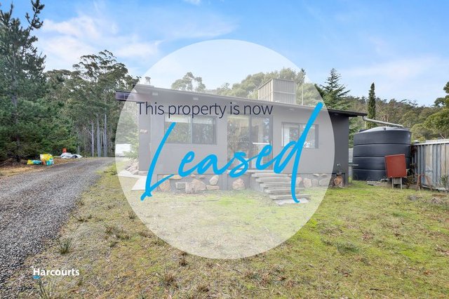 53A Williams Road, TAS 7112
