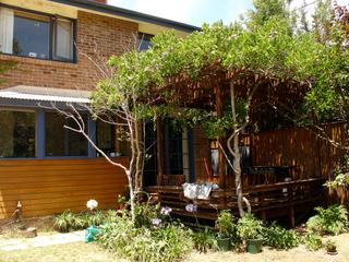 Patio (2010-12-21)