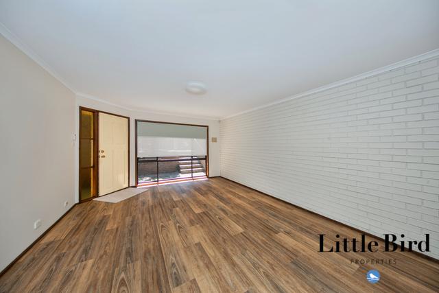 3/23 Mansfield Pl, ACT 2606
