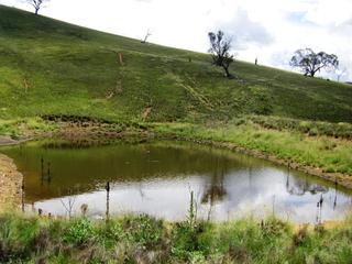 Spring Fed Dam