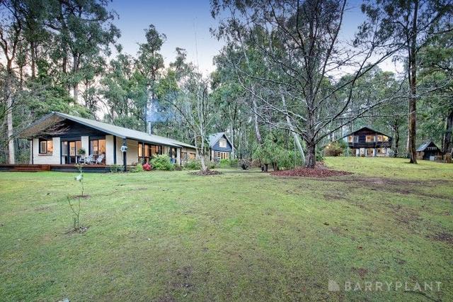 45 Warwick Road, VIC 3783