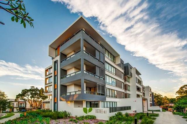 405W/7 Lardelli Drive, NSW 2112