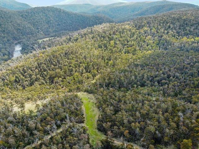 93 Lower Tablelands Road, VIC 3900
