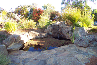 Front Water Feature