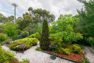 Front garden