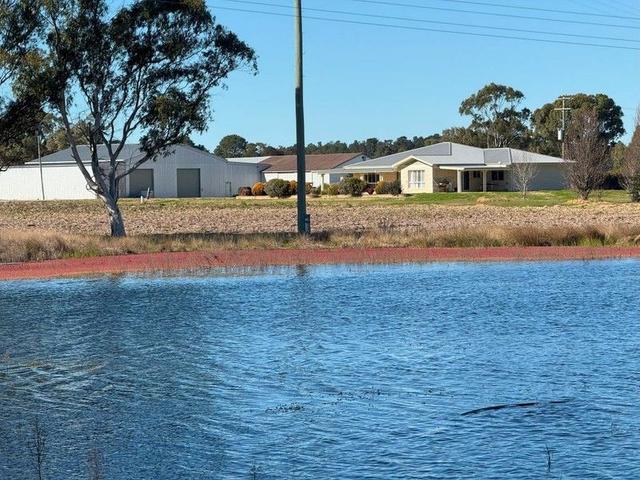 79 Cottonvale School Rd, QLD 4375