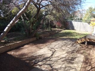 Backyard (2015-08-18)