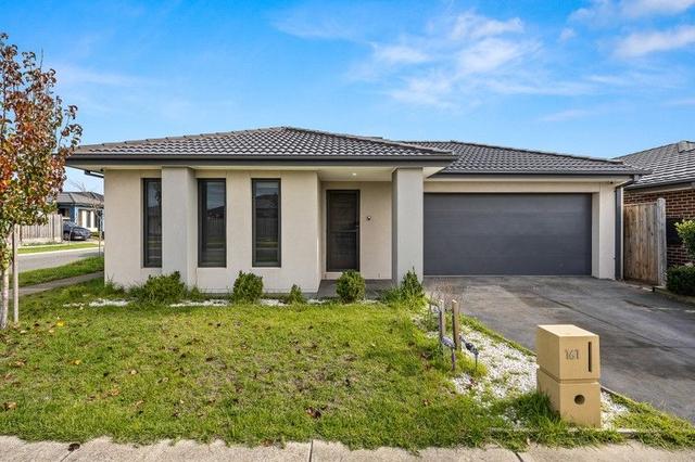 161 Thoroughbred Drive, VIC 3978