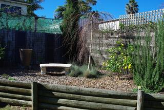 Standard Photo (2013-05-16)