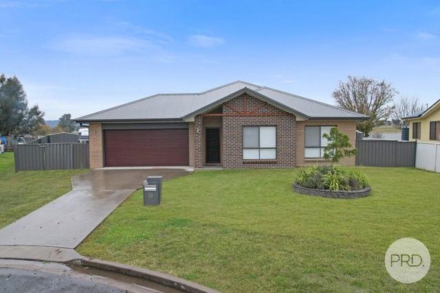 9 McCarthy Place, NSW 2343