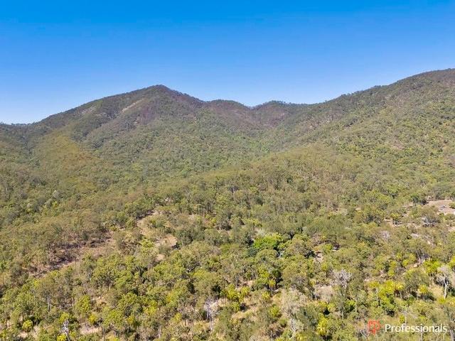 243 New Zealand Gully Road, QLD 4702