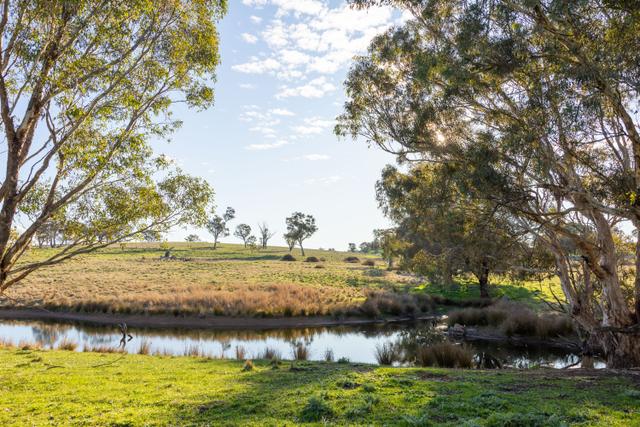 Lot 289 Garryowen Road, NSW 2584