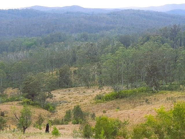 Doyles River Road, NSW 2446