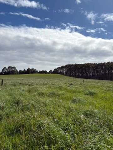 226 Hursts Road, TAS 7330